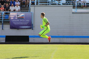 爱游戏app活动-学校体育场馆社会开放机制实施情况调研，学校体育场所向社会开放实施方案